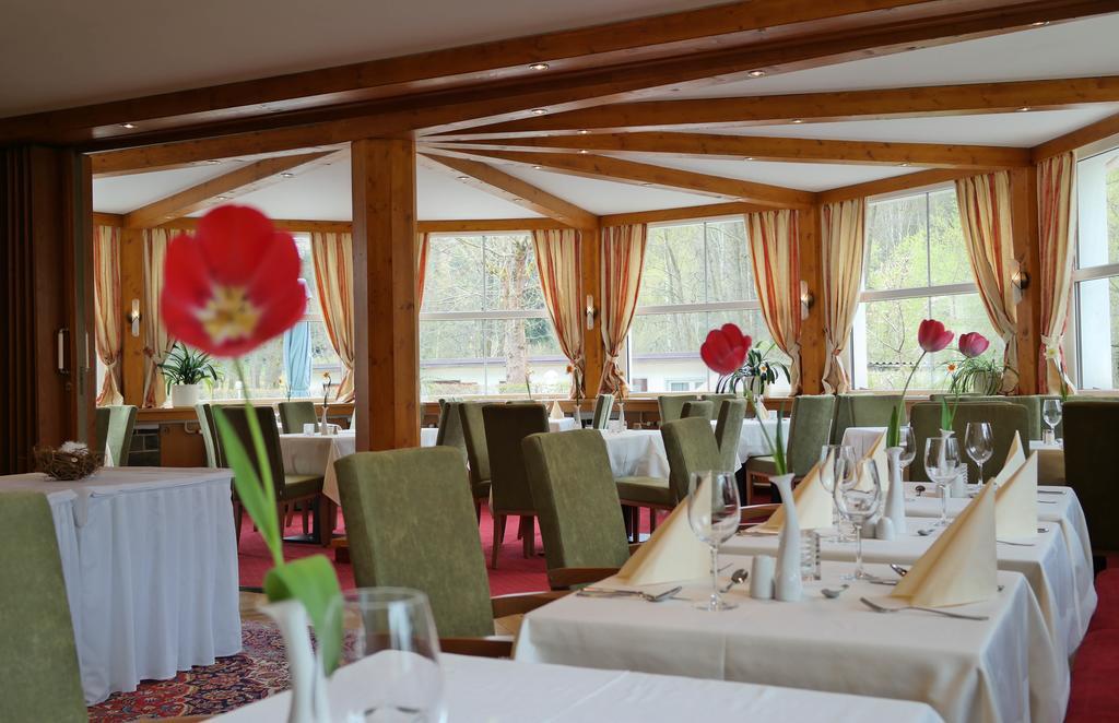 Hotel Vogtland Bad Elster Extérieur photo