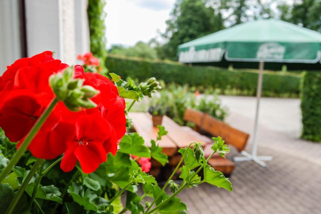 Hotel Vogtland Bad Elster Extérieur photo